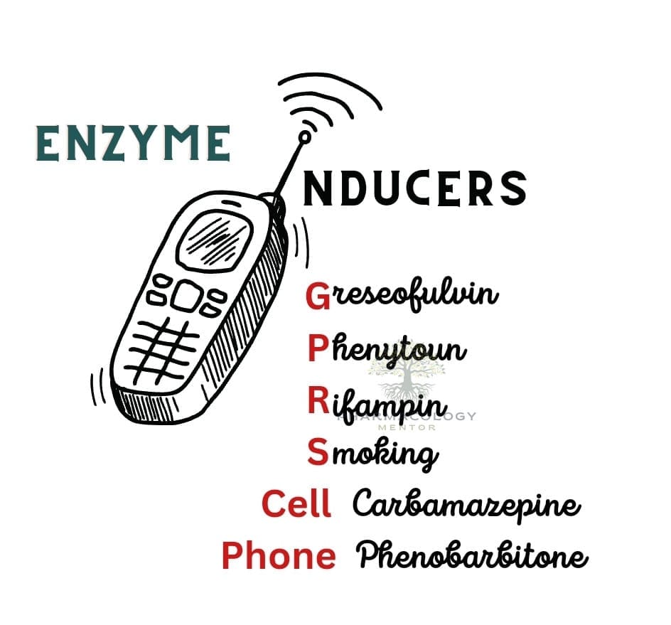 enzyme inducers