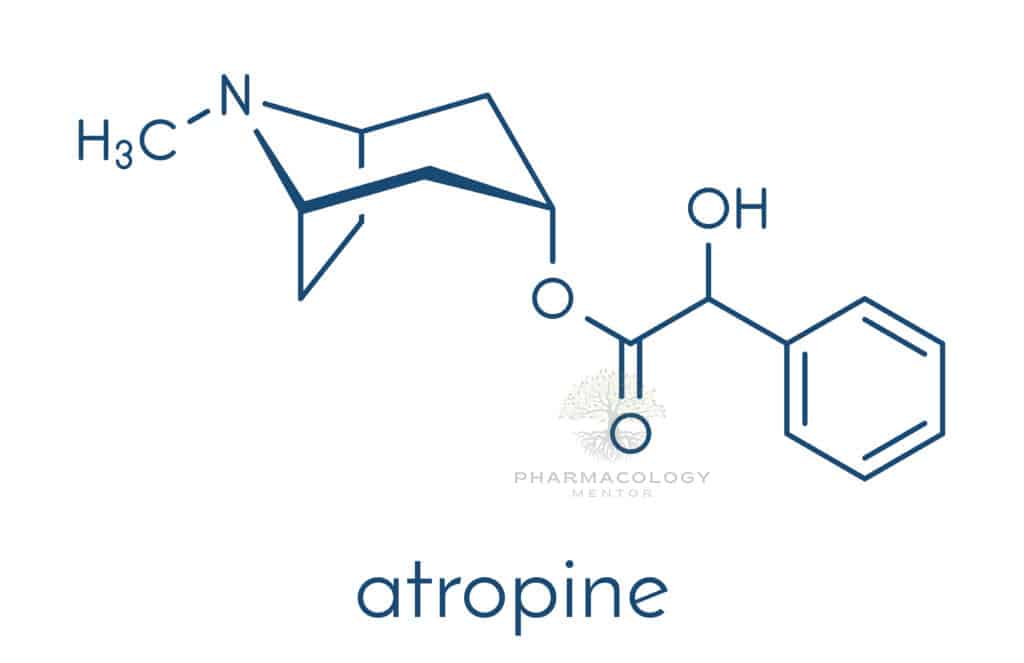 Atropine deadly nightshade Atropa belladonna alkaloid molecule Medicinal drug and poison also found in Jimson weed Datura stramonium and mandrake Mandragora officinarum Skeletal formula